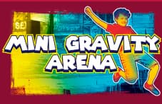 Mini Gravity Arena